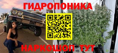 jwh Волгодонск