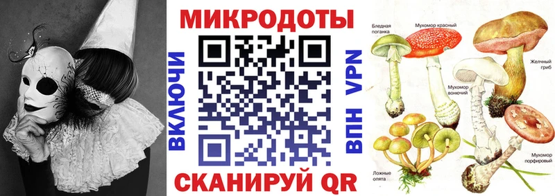 цена   Орск  Псилоцибиновые грибы Psilocybe 