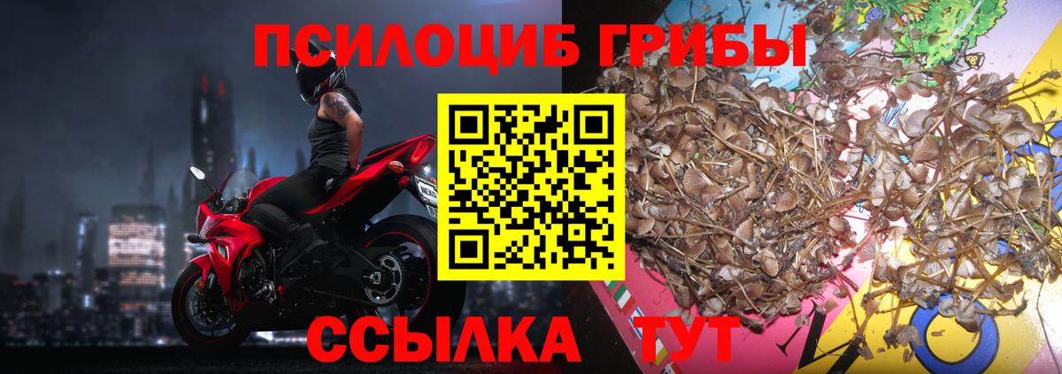 магазин продажи наркотиков  Вход с VPN  Орск  Псилоцибиновые грибы Magic Shrooms 